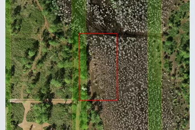 0 Holopaw Groves Road, Saint Cloud, FL 34772 - Photo 4