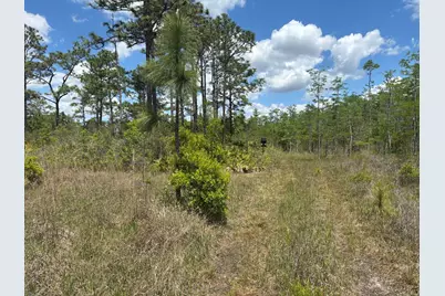 0 Holopaw Groves Road, Saint Cloud, FL 34772 - Photo 1