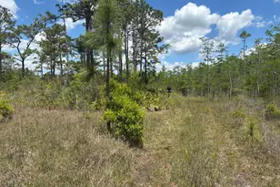 0 Holopaw Groves Rd, Saint Cloud, FL 34772 - Photo 1
