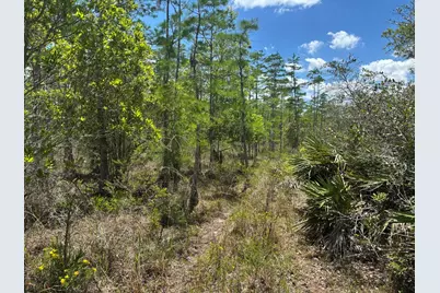 0 Holopaw Groves Road, Saint Cloud, FL 34772 - Photo 2