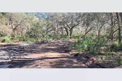 119 Gardenia Avenue, Georgetown, FL 32139 - Photo 2