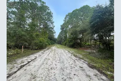 119 Gardenia Avenue, Georgetown, FL 32139 - Photo 6