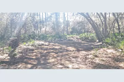 119 Gardenia Avenue, Georgetown, FL 32139 - Photo 4
