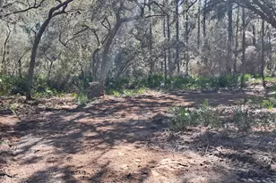 119 Gardenia Ave, Georgetown, FL 32139 - Photo 1