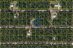 120 Gardenia Ave, Georgetown, FL 32139 - Photo 1
