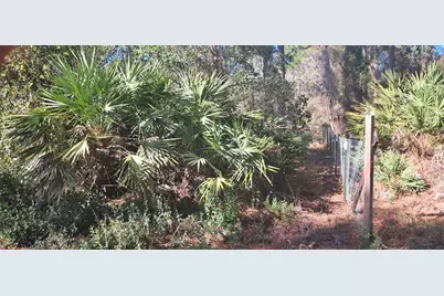 120 Gardenia Avenue, Georgetown, FL 32139 - Photo 4