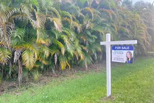 17254 32nd Ln N, The Acreage, FL 33470 - Photo 6