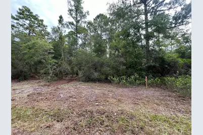 122 Glenside Street, Georgetown, FL 32139 - Photo 8