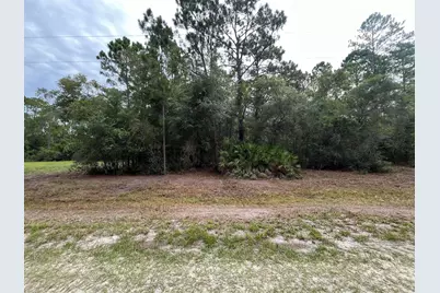 124 Glenside Street, Georgetown, FL 32139 - Photo 1