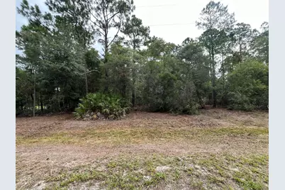 124 Glenside Street, Georgetown, FL 32139 - Photo 4