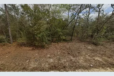 Lot 28 Janet Avenue, Interlachen, FL 32148 - Photo 1