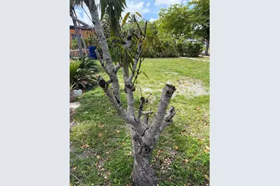 1674 NE 169th Street, North Miami Beach, FL 33162 - Photo 24