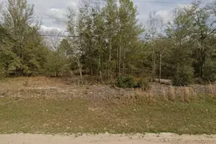 Tbd Marion Ave, Interlachen, FL 32148 - Photo 1