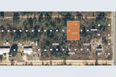 000 Unassigned Location, Interlachen, FL 32148 - Photo 4