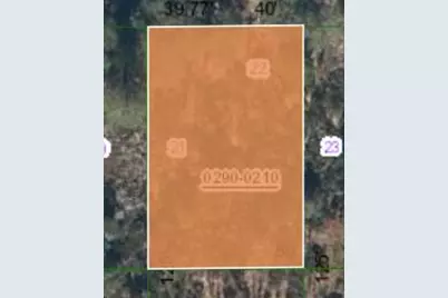 000 Unassigned Location, Interlachen, FL 32148 - Photo 2