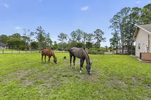 6045 Hall Blvd, The Acreage, FL 33470 - Photo 74