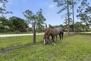 6045 Hall Blvd, The Acreage, FL 33470 - Photo 74