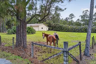 6045 Hall Blvd, The Acreage, FL 33470 - Photo 1