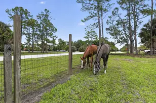 6045 Hall Blvd, The Acreage, FL 33470 - Photo 72