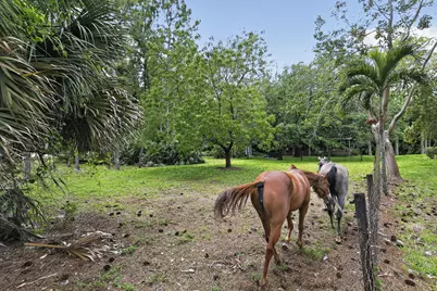 6045 Hall Boulevard, The Acreage, FL 33470 - Photo 66