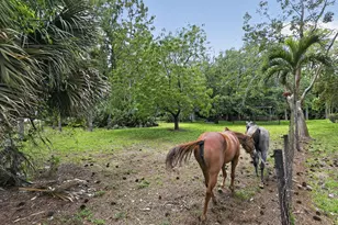 6045 Hall Blvd, The Acreage, FL 33470 - Photo 66