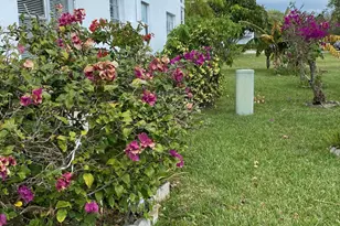 72 Newport D, Deerfield Beach, FL 33442 - Photo 54