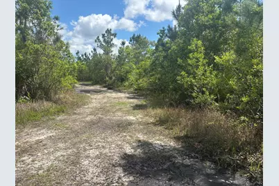 0 Holopaw Groves Road, Saint Cloud, FL 34772 - Photo 2
