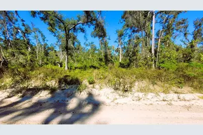 Lot 56 NW 29th Loop, Jennings, FL 32053 - Photo 18