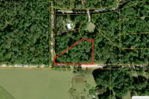 Lot 56 NW 29th Loop, Jennings, FL 32053 - Photo 1
