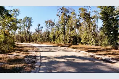 Lot 7 NW 27th Terrace, Jennings, FL 32053 - Photo 12