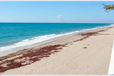 3475 S Ocean Boulevard #116, Palm Beach, FL 33480 - Photo 40