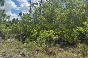 0 Holopaw Groves Rd, Saint Cloud, FL 34772 - Photo 1