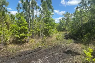 0 Holopaw Groves Rd, Saint Cloud, FL 34772 - Photo 1