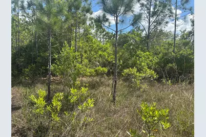 0 Holopaw Groves Road, Saint Cloud, FL 34772 - Photo 2