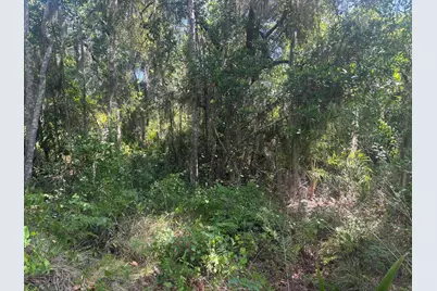 536 Bright Hill Avenue, Lake Placid, FL 33852 - Photo 2