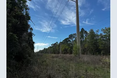 Tbd NE 4th Court, Ocala, FL 34479 - Photo 6
