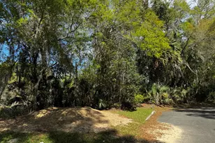 Tbd NE 4th Ct, Ocala, FL 34479 - Photo 1