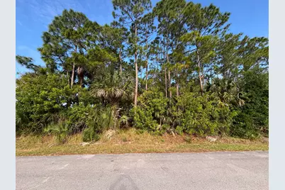 556 NE Burlington Ave Avenue NE, Palm Bay, FL 32907 - Photo 1