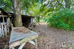 17135 NW 190th Rd, Okeechobee, FL 34972 - Photo 10