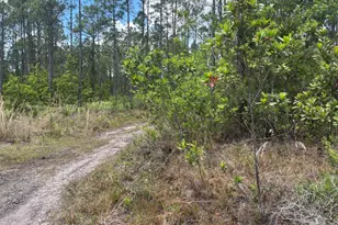 0 Holopaw Groves Rd, Saint Cloud, FL 34772 - Photo 1