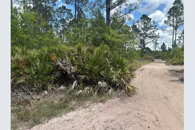 0 Holopaw Groves Road, Saint Cloud, FL 34772 - Photo 2
