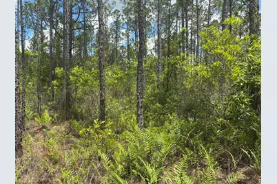 0 Holopaw Groves Road, Saint Cloud, FL 34772 - Photo 2