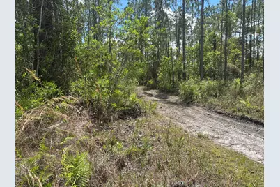 0 Holopaw Groves Road, Saint Cloud, FL 34772 - Photo 1
