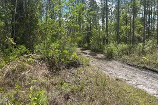 0 Holopaw Groves Rd, Saint Cloud, FL 34772 - Photo 1