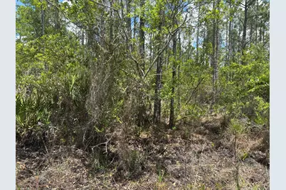 0 Holopaw Groves Road, Saint Cloud, FL 34772 - Photo 2