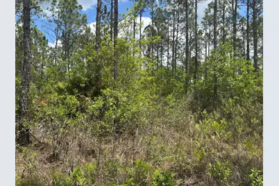 0 Holopaw Groves Road, Saint Cloud, FL 34772 - Photo 2