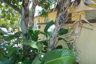 510 NW 43rd St, Deerfield Beach, FL 33064 - Photo 36