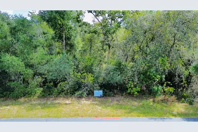 Tbd SW 37th Avenue, Ocala, FL 34473 - Photo 2