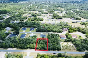 Tbd SW 37th Ave, Ocala, FL 34473 - Photo 1