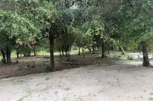 19520 NW 260th St, Okeechobee, FL 34972 - Photo 20